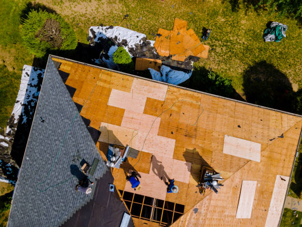 Best Roof Gutter Cleaning  in Englishtown, NJ